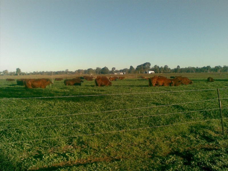 Toogoolawah QLD 4313