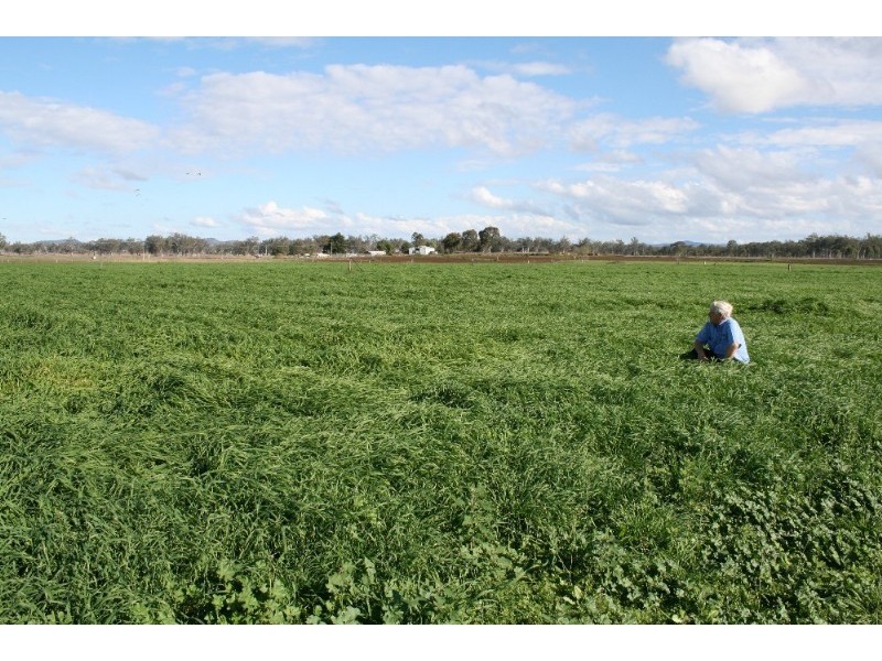 Toogoolawah QLD 4313