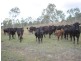 Moore QLD 4306