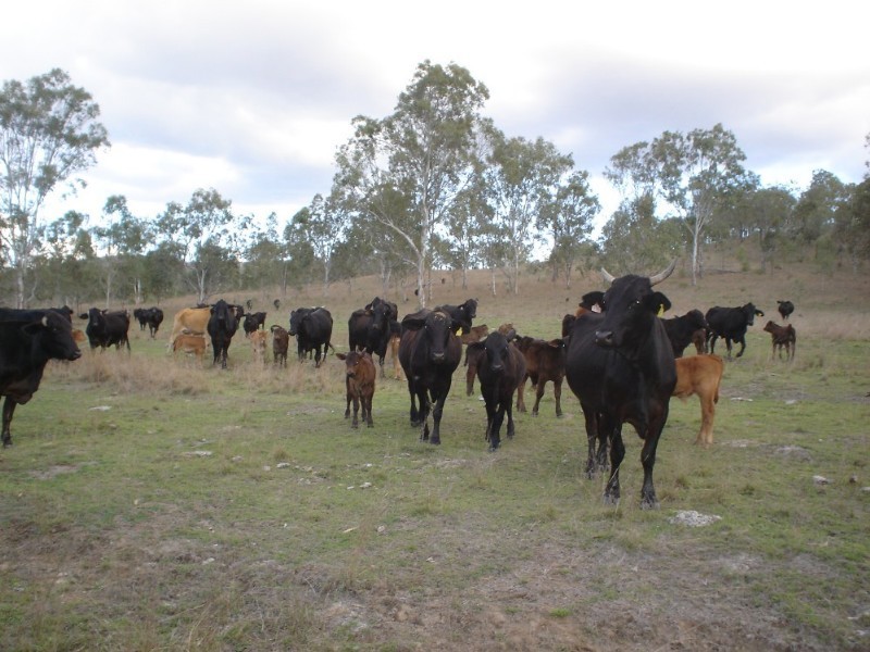 Moore QLD 4306
