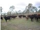 Moore QLD 4306
