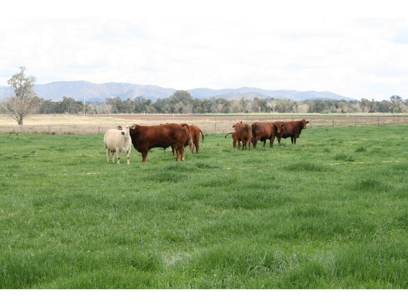 Toogoolawah QLD 4313