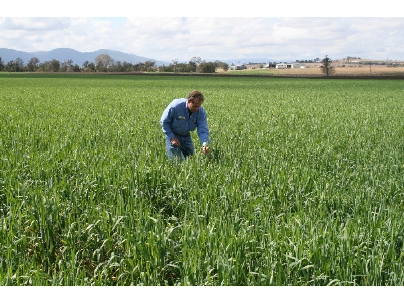 Toogoolawah QLD 4313