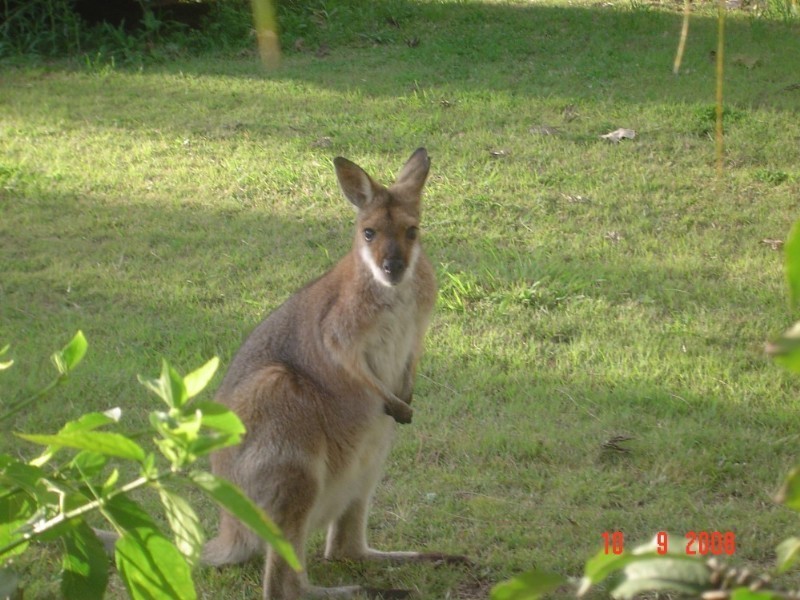 Esk QLD 4312