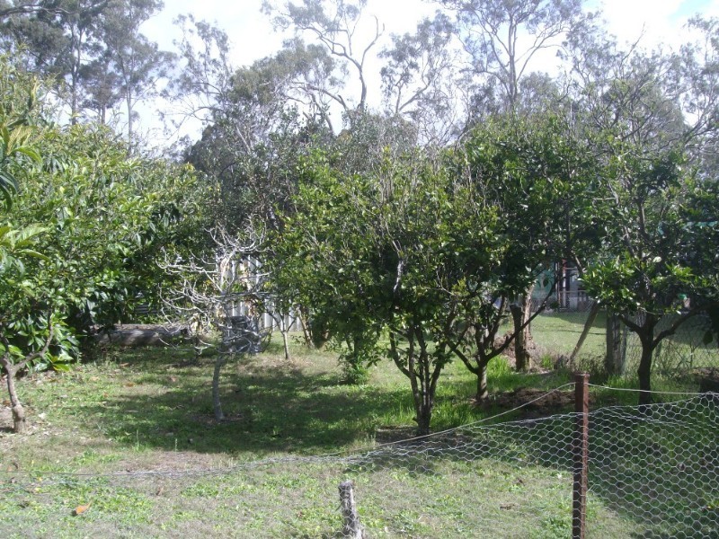 Blackbutt QLD 4306