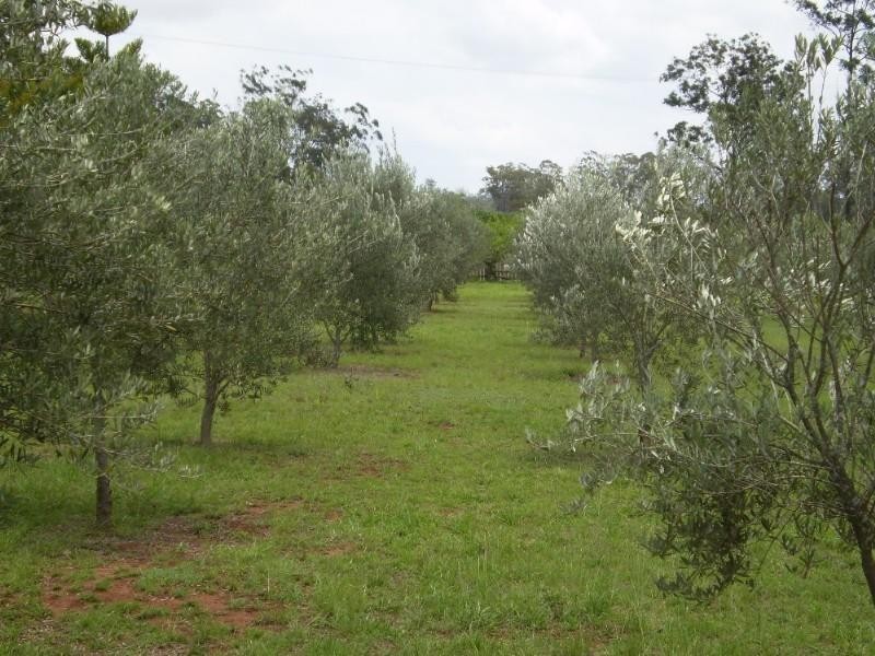 66 Brett Road, Blackbutt QLD 4306