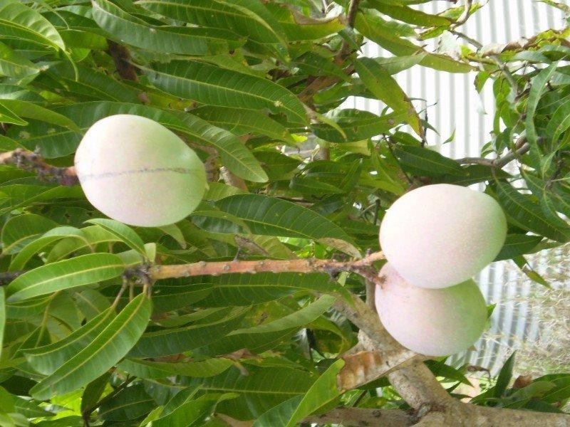 66 Brett Road, Blackbutt QLD 4306