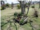 Toogoolawah QLD 4313