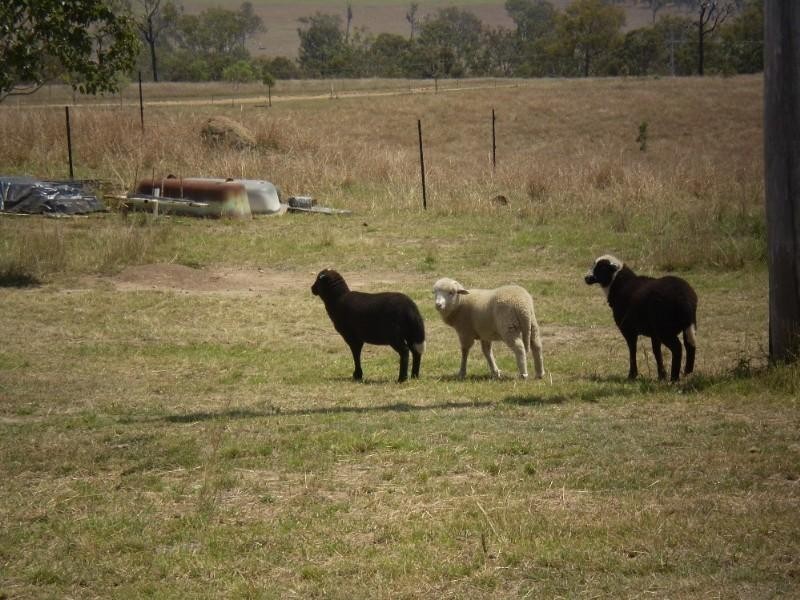 Toogoolawah QLD 4313