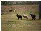 Toogoolawah QLD 4313