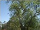 Yarraman QLD 4614