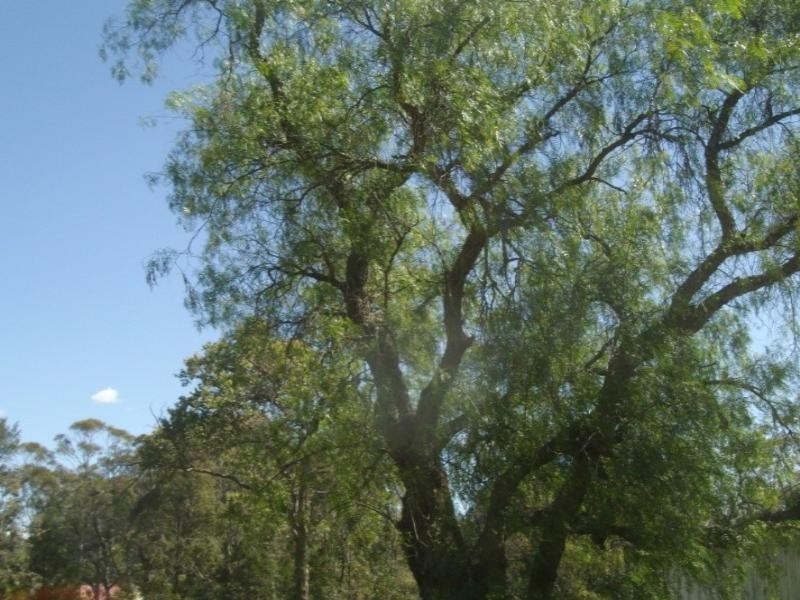 Yarraman QLD 4614