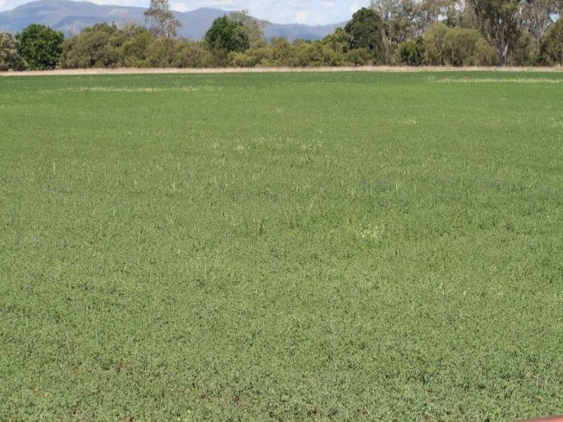 Toogoolawah QLD 4313