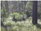 Blackbutt QLD 4306