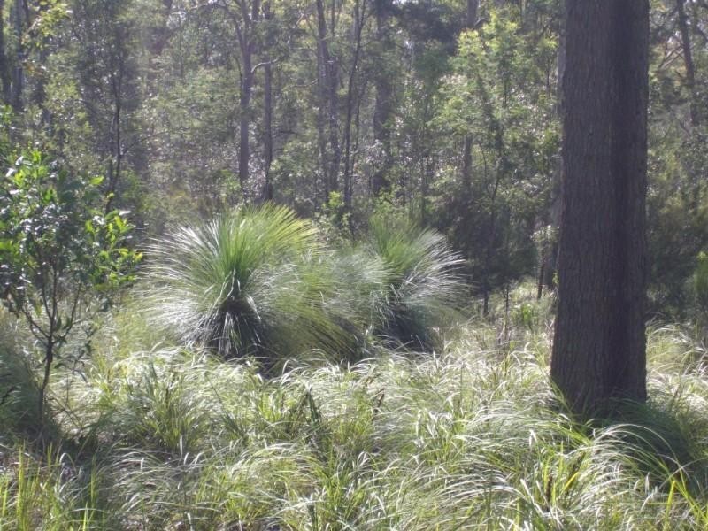 Blackbutt QLD 4306