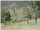 Kilcoy QLD 4515