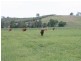 Kilcoy QLD 4515