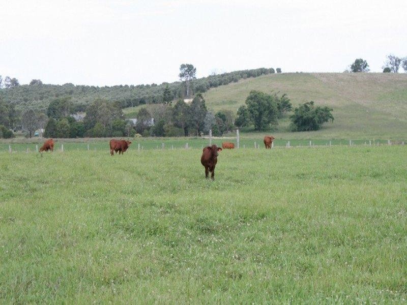 Kilcoy QLD 4515