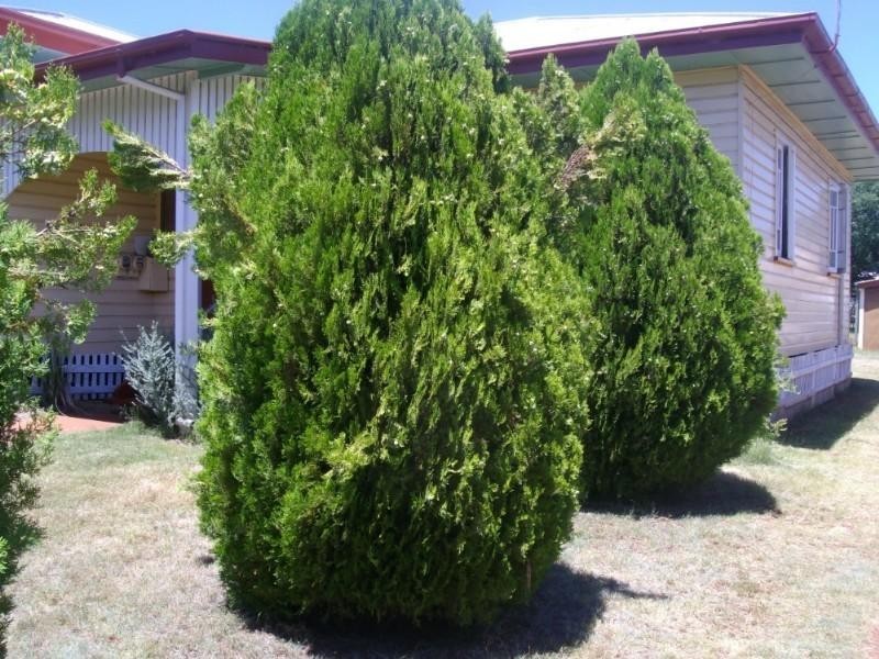 Kingaroy QLD 4610