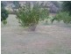 Blackbutt QLD 4306