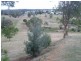 Blackbutt QLD 4306