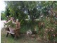 Blackbutt QLD 4306