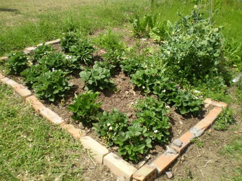 Toogoolawah QLD 4313