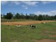 Blackbutt QLD 4306