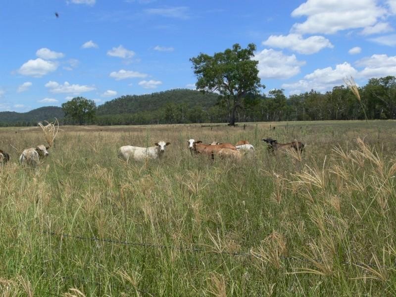 Toogoolawah QLD 4313