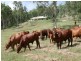 Esk QLD 4312