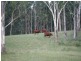 Esk QLD 4312