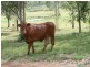 Esk QLD 4312