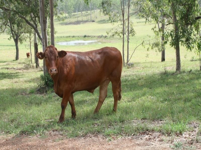 Esk QLD 4312