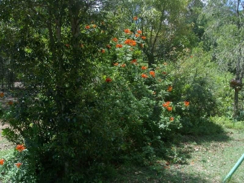 Blackbutt QLD 4306