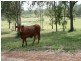 Toogoolawah QLD 4313