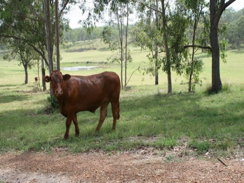 Toogoolawah QLD 4313