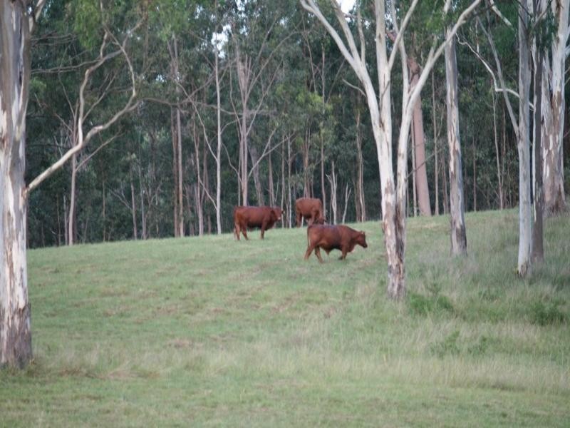 Toogoolawah QLD 4313