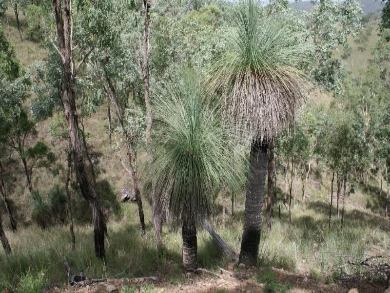 Toogoolawah QLD 4313