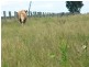 Toogoolawah QLD 4313