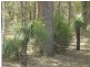 Blackbutt QLD 4306