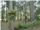 Blackbutt QLD 4306