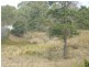 Blackbutt QLD 4306