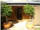 Blackbutt QLD 4306