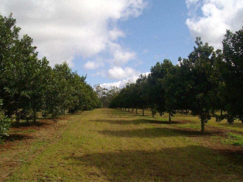 Blackbutt QLD 4306