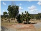 Blackbutt QLD 4306