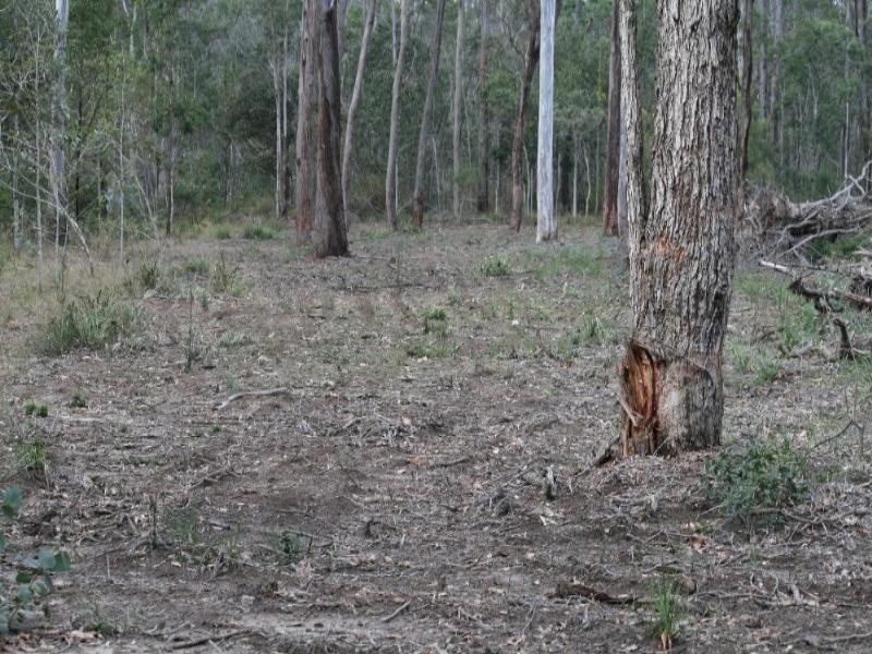 Blackbutt QLD 4306