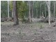 Blackbutt QLD 4306