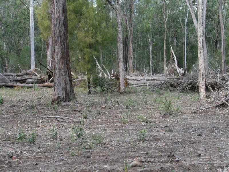Blackbutt QLD 4306