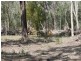 Blackbutt QLD 4306