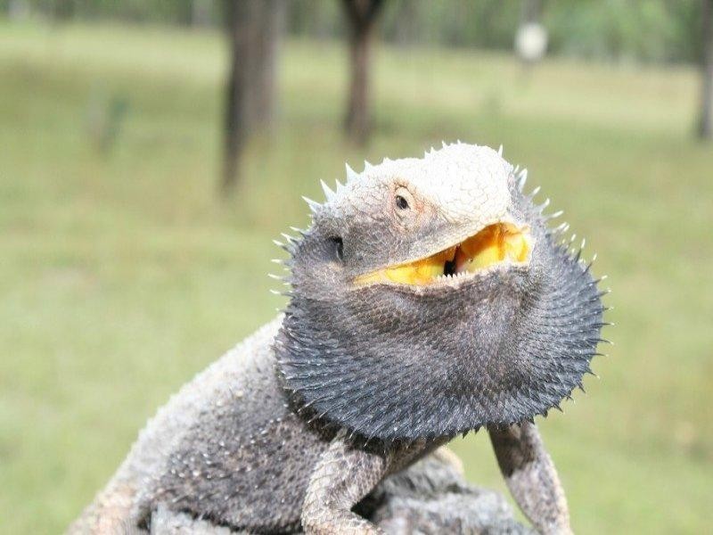 Toogoolawah QLD 4313